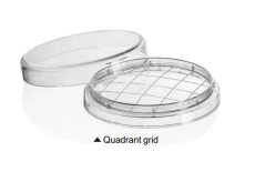 Rodac Dish, 60mm, Grid, Concave, PS, Sterile